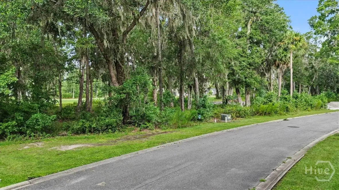 Lot 17 Eagle Crest, Waverly, GA 31565 - #1