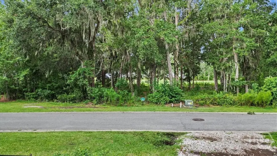 Lot 17 Eagle Crest, Waverly, GA 31565 - #2