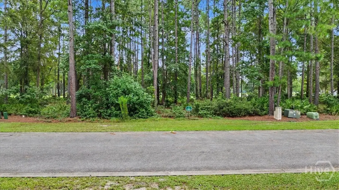 Lot 38 Palmetto Wynd, Waverly, GA 31565 - #1