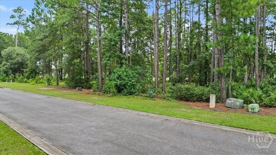 Lot 38 Palmetto Wynd, Waverly, GA 31565 - #2