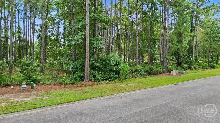Lot 38 Palmetto Wynd, Waverly, GA 31565 - #3