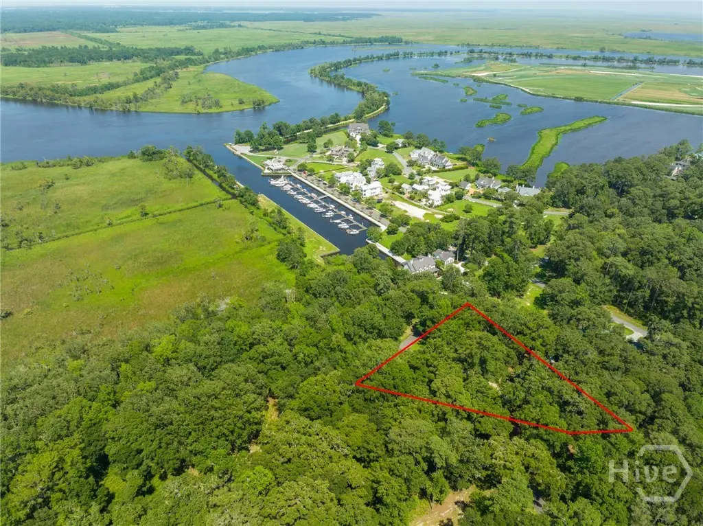 777 Silk Hope Drive, Richmond Hill, GA 31324 - #1