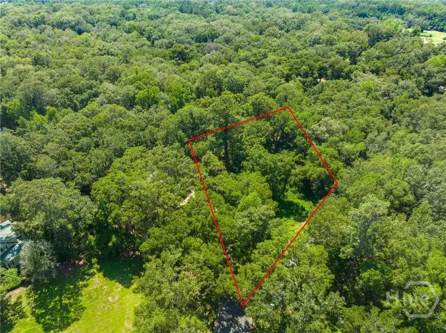 777 Silk Hope Drive, Richmond Hill, GA 31324 - #2