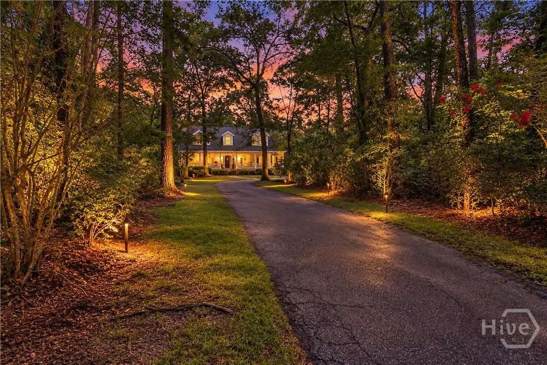 233 Buckland Hall Road, Richmond Hill, GA 31324 - #1