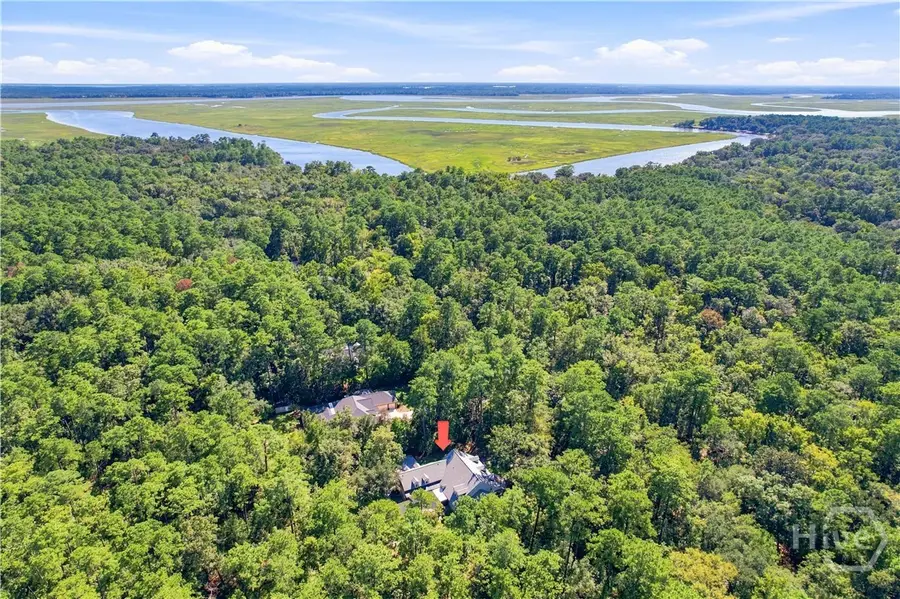 233 Buckland Hall Road, Richmond Hill, GA 31324 - #3