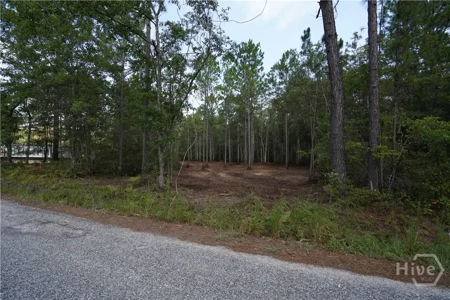1 Williams Road, Guyton, GA 31312 - #2