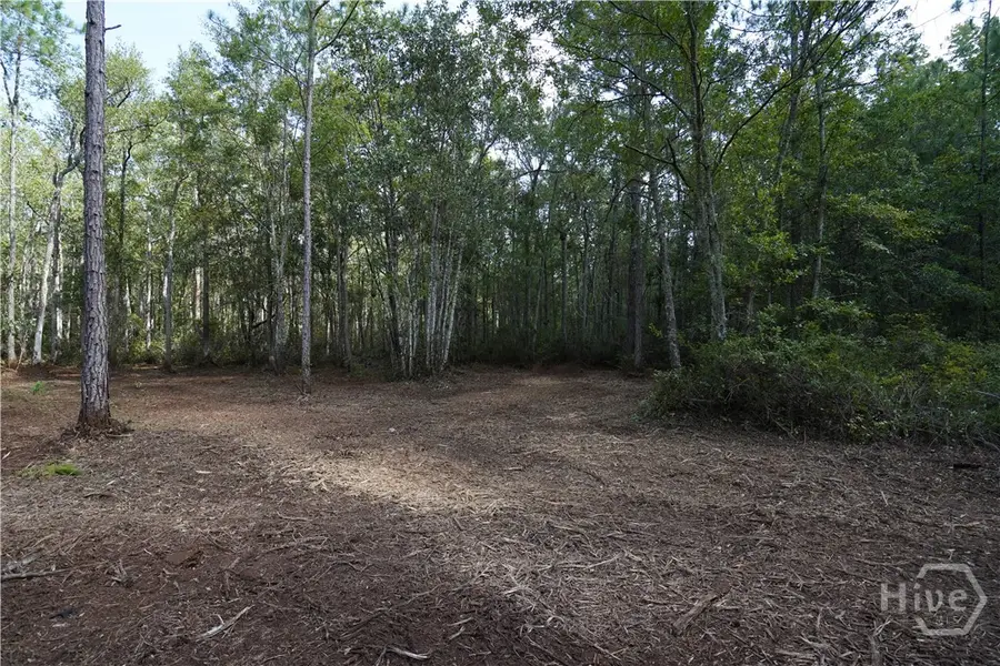 1 Williams Road, Guyton, GA 31312 - #3