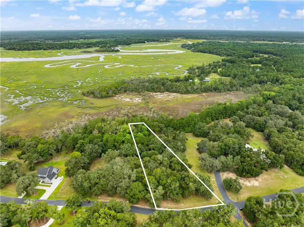 Lot 241 Coopers Landing Drive, Townsend, GA 31331 - #1