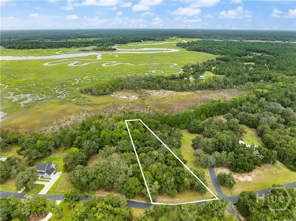 Lot 241 Coopers Landing Drive, Townsend, GA 31331