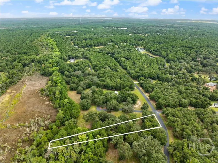 Lot 241 Coopers Landing Drive, Townsend, GA 31331 - #3