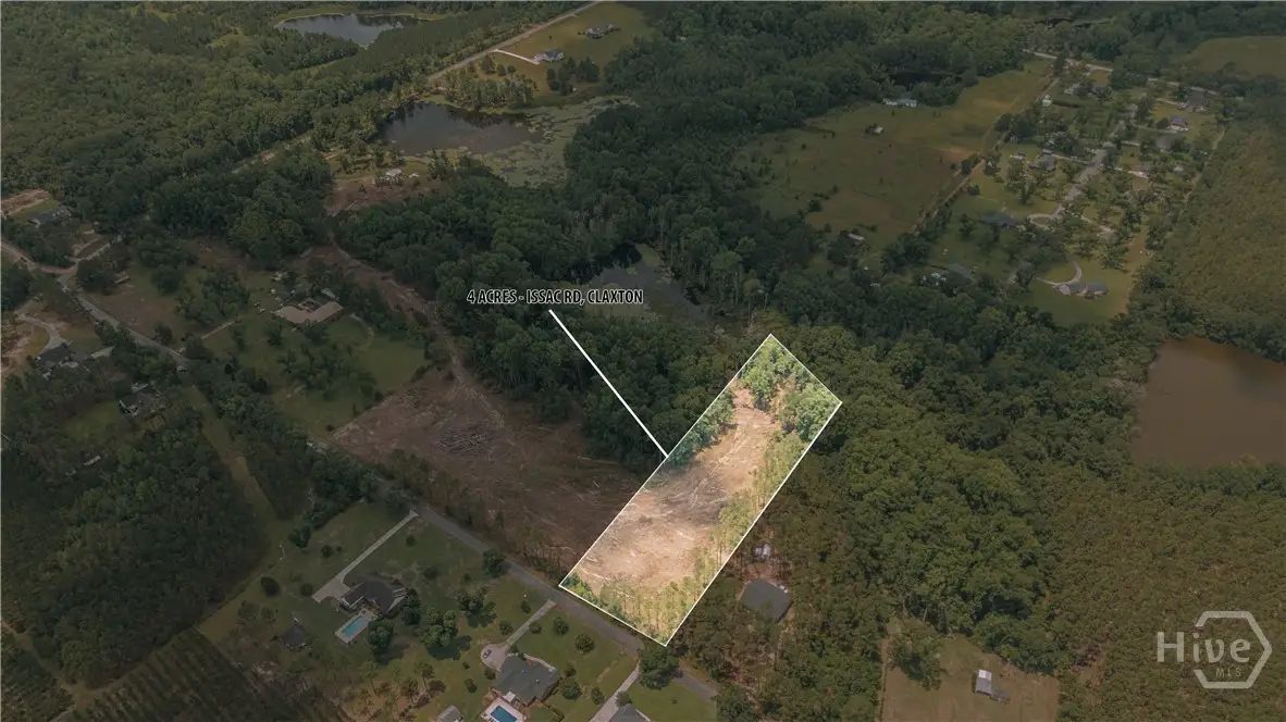 0 Issac Road, Claxton, GA 30417 - #1