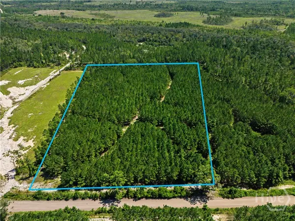 LOT 1-O Mill Branch Club Road, Pembroke, GA 31321
