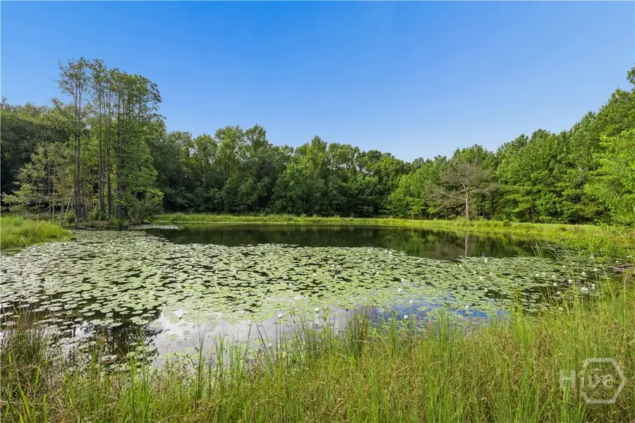 426 Adams Road, Bloomingdale, GA 31302 - #2