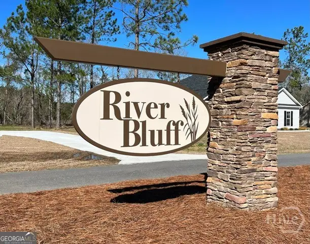 660 Belfast Loop, Ellabell, GA 31308 - #3