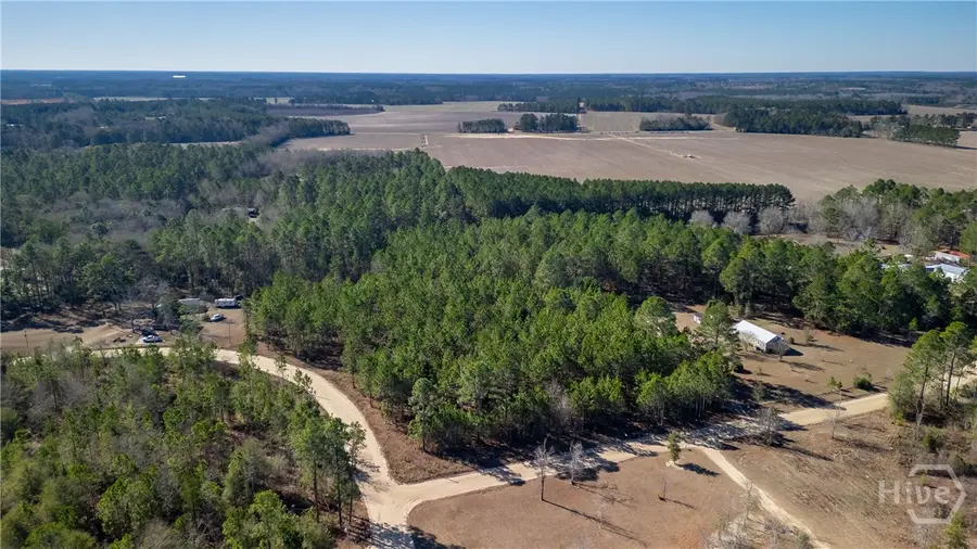 3201 Deer Run Lane, Statesboro, GA 30461 - #3