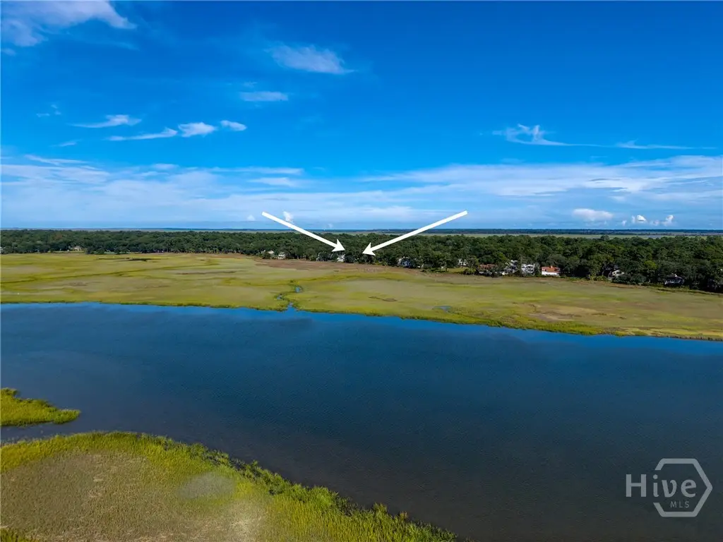 14 West Ferry Court, Savannah, GA 31411 - #1