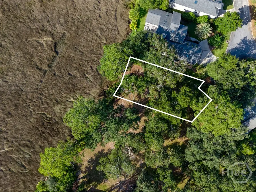 14 West Ferry Court, Savannah, GA 31411 - #3