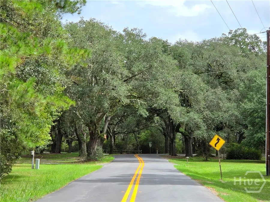 Lot 5 Seines Landing Drive, Springfield, GA 31329 - #3