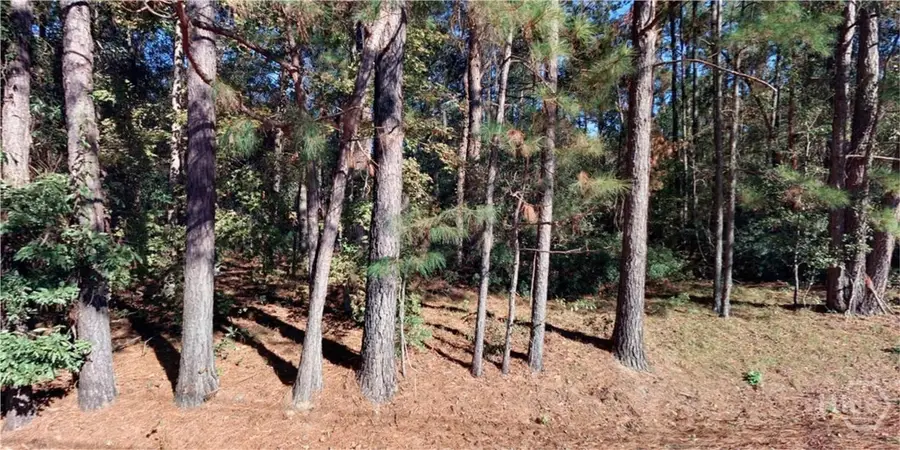 LOT 1 Conaway Road, Bloomingdale, GA 31302 - #2