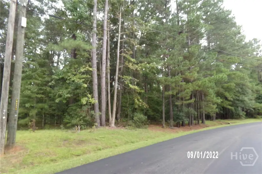 LOT 1 Conaway Road, Bloomingdale, GA 31302 - #3