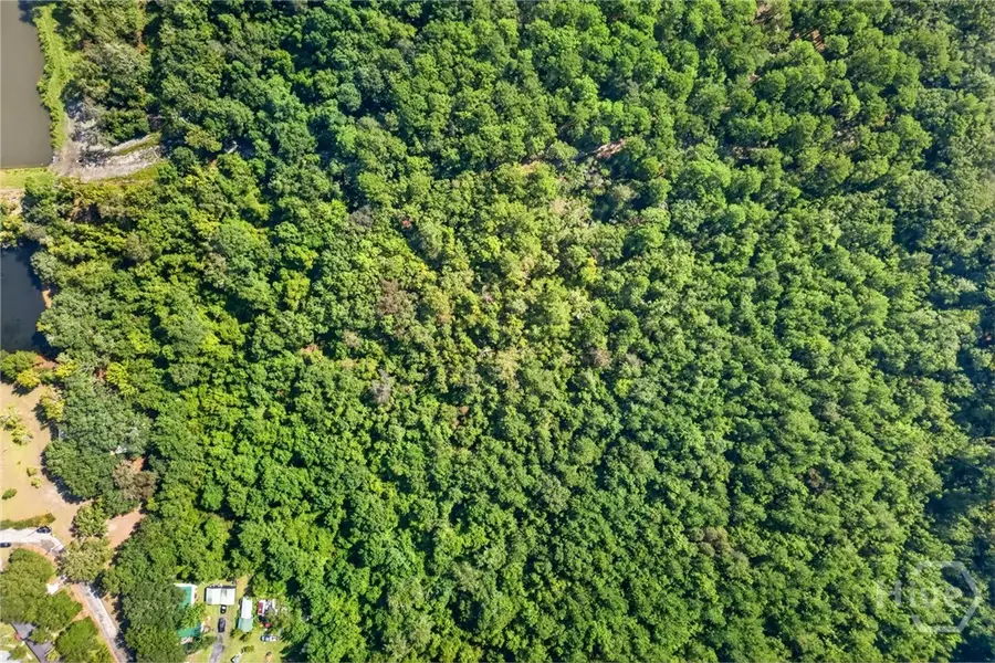 0 Sherwood Road, Rincon, GA 31326 - #3