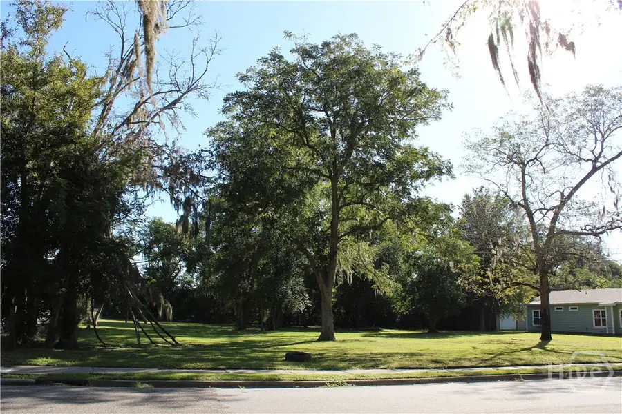 0 Church Street, Guyton, GA 31312 - #3