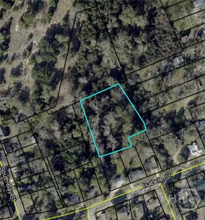 0 Isabel Street, Sylvania, GA 30467 - #2