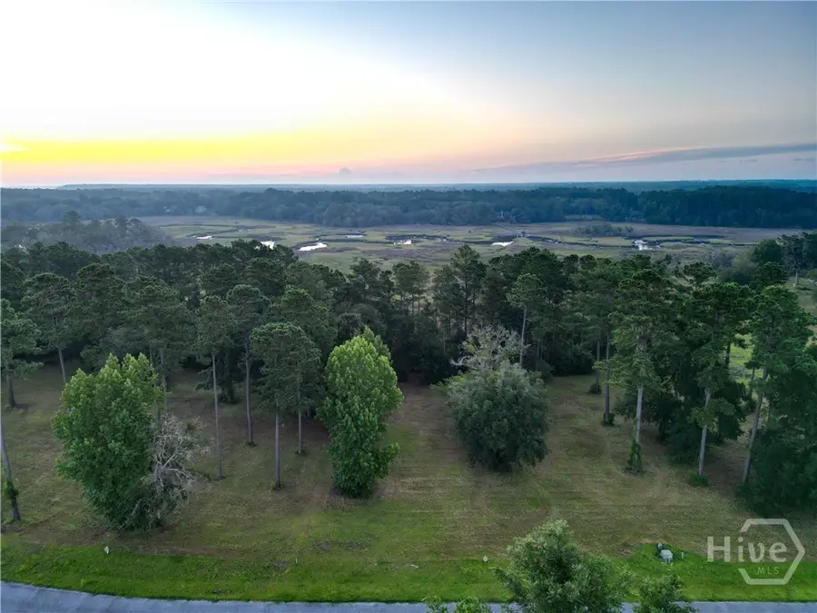 Lot #8 Baker Island Way Ne, Townsend, GA 31331 - #2