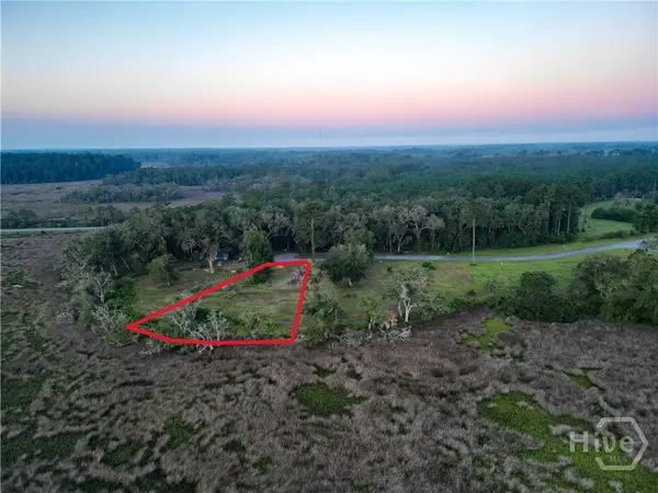 Lot #4 1189 Retreat Lane Ne, Townsend, GA 31331