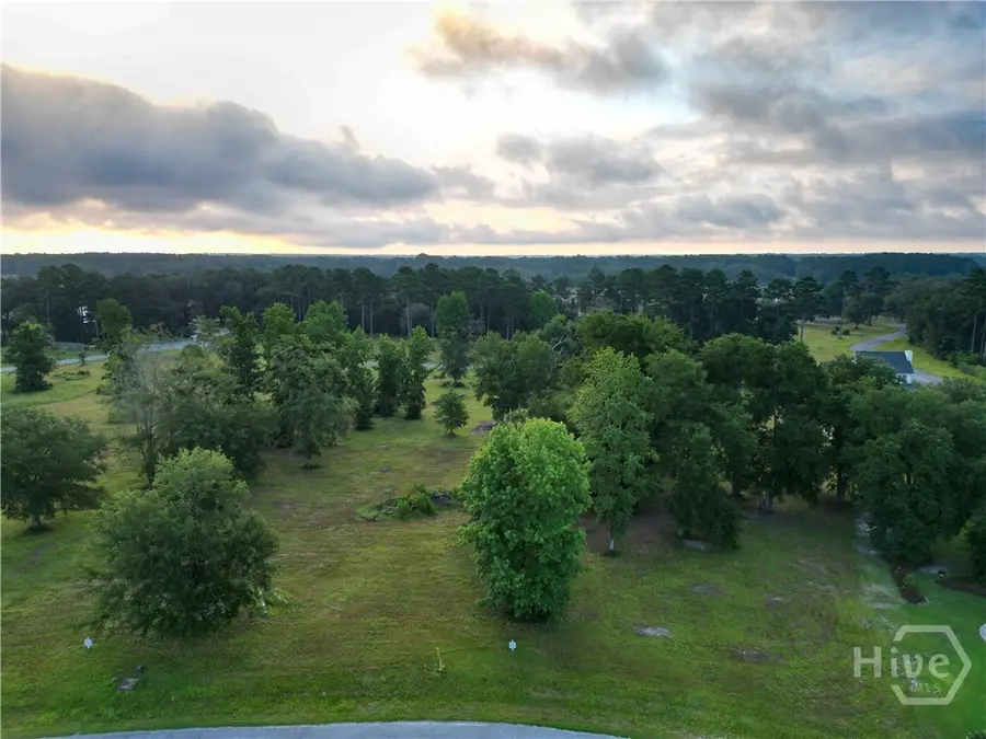 Lot #28 Tranquility Place Ne, Townsend, GA 31331 - #3