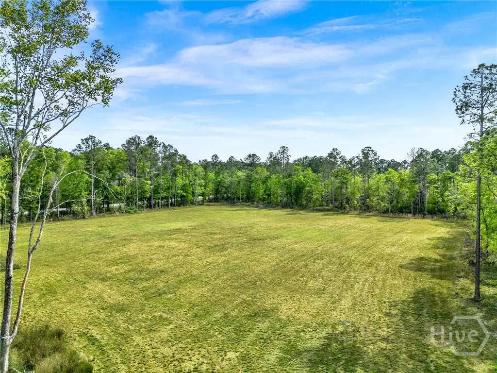0 Courthouse Road, Guyton, GA 31312 - #1