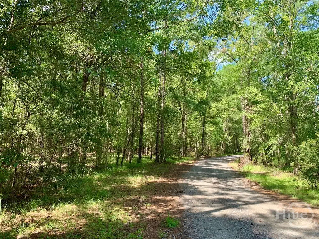 Lot 016 Lake No No Road, Midway, GA 31320 - #1