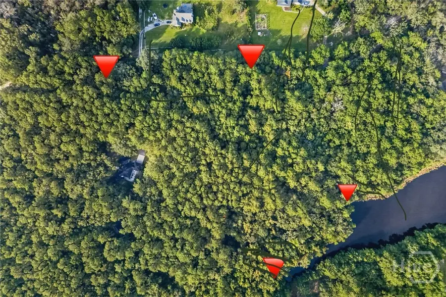 Lot 016 Lake No No Road, Midway, GA 31320 - #2