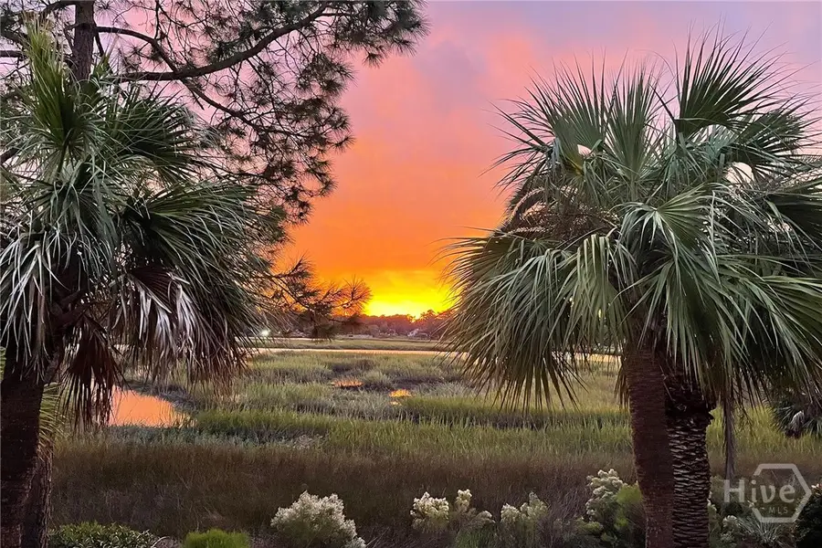 9 Egrets Nest Drive, Savannah, GA 31406 - #3
