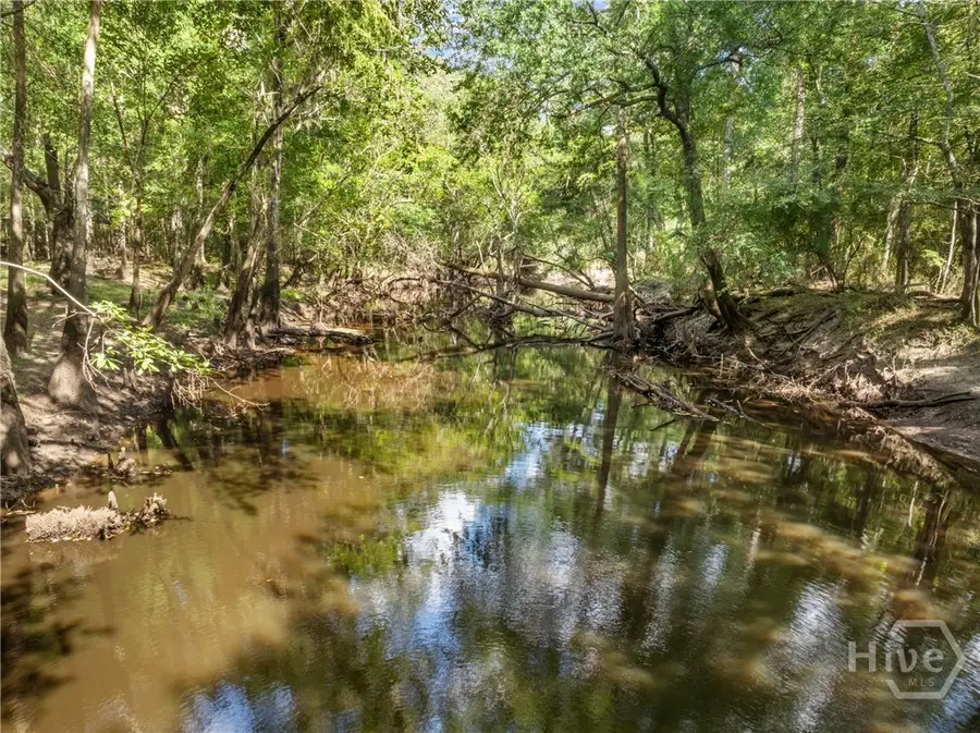 628 Riverside Drive, Claxton, GA 30417 - #2