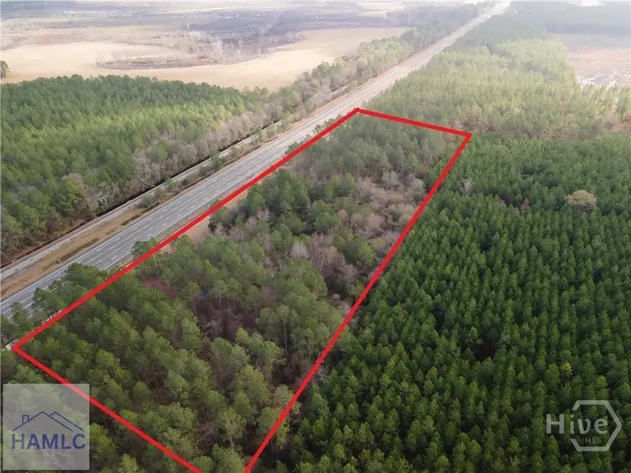 10.00 AC Hwy 341 / Odum Highway, Odum, GA 31555 - #3