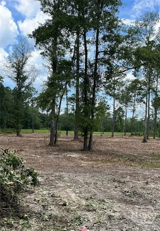 159 Holloway Lane, Register, GA 30452 - #2