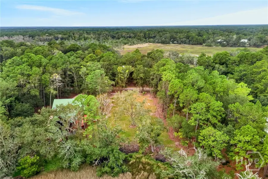 3010 NE Dallas Bluff Road, Townsend, GA 31331 - #2