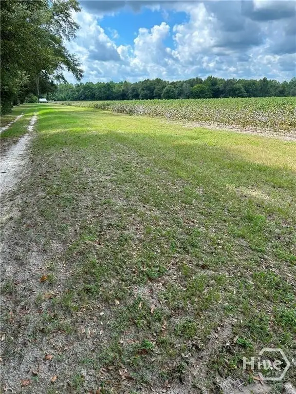 344 Shuman Road, Brooklet, GA 30415 - #3
