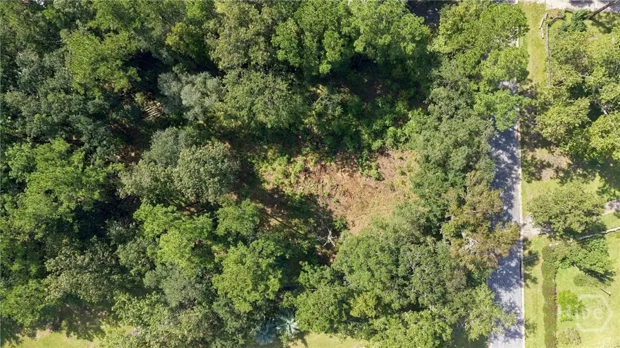 2 Lake No No Road, Midway, GA 31320 - #3