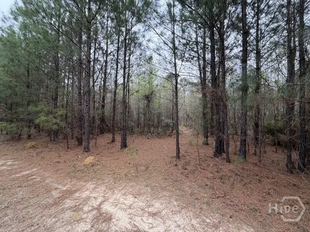 0 Fair St, Clyo, GA 31303 - #3