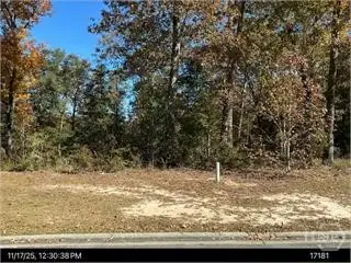 152 Cubbedge Drive, Rincon, GA 31326 - #1