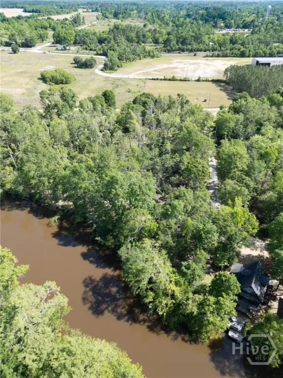 Lot 23 The River Landing, Midville, GA 30441 - #2