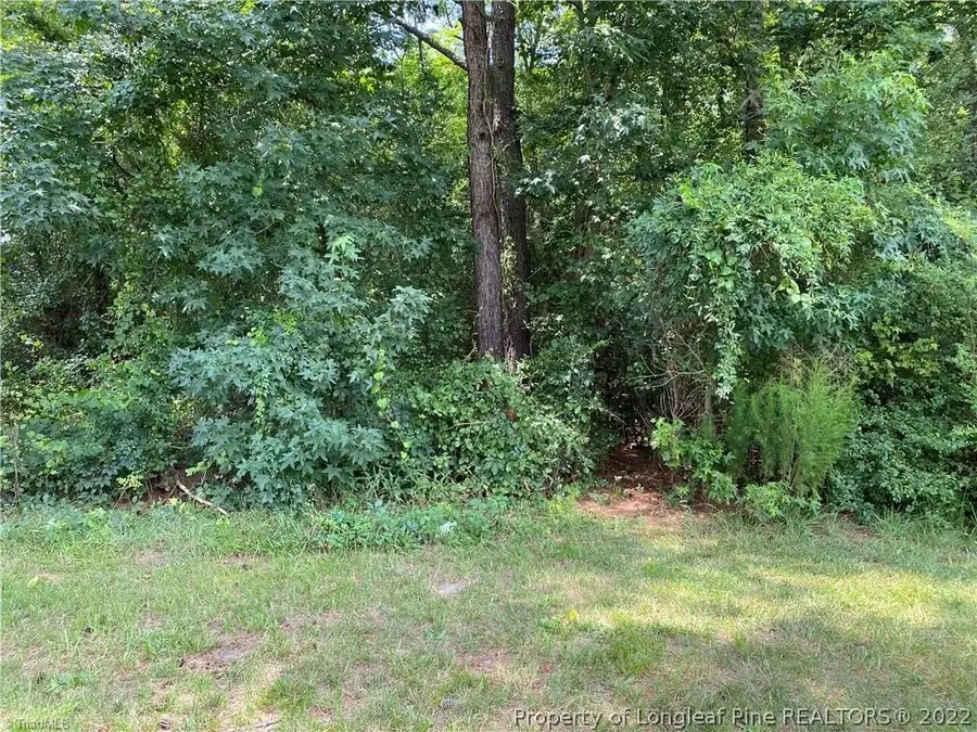 000 Us 15-501 Highway, Carthage, NC 28327 - #2