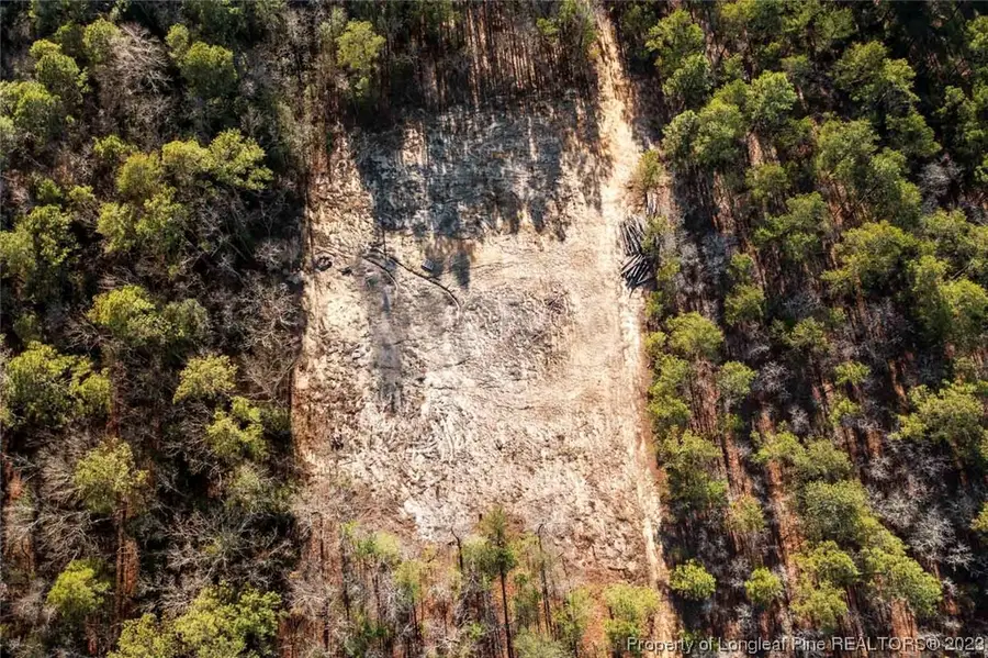 Cherrywood Lane, Cameron, NC 28326 - Image #3