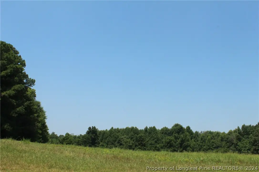 tbd Siler City Glendon Road, Bear Creek, NC 27207 - Image #1