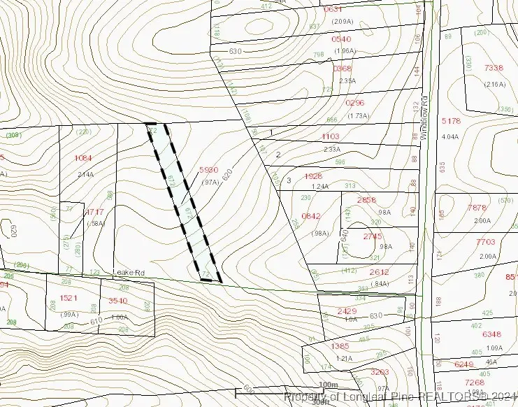 0 Leake Road, Jackson Springs, NC 27281 - Image #2