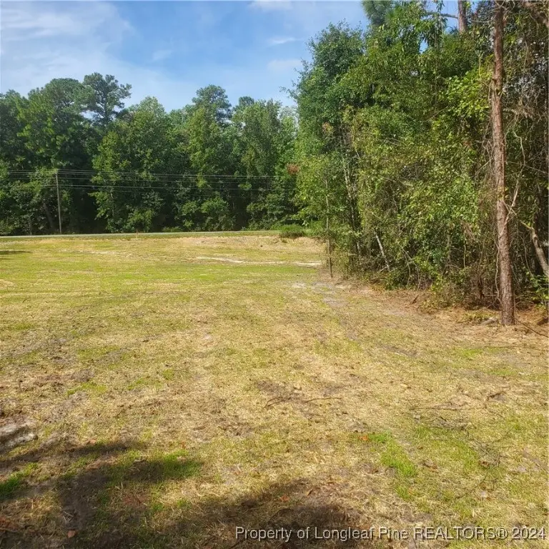 Lot 3 Rockfish Road, Raeford, NC 28376 - Image #3