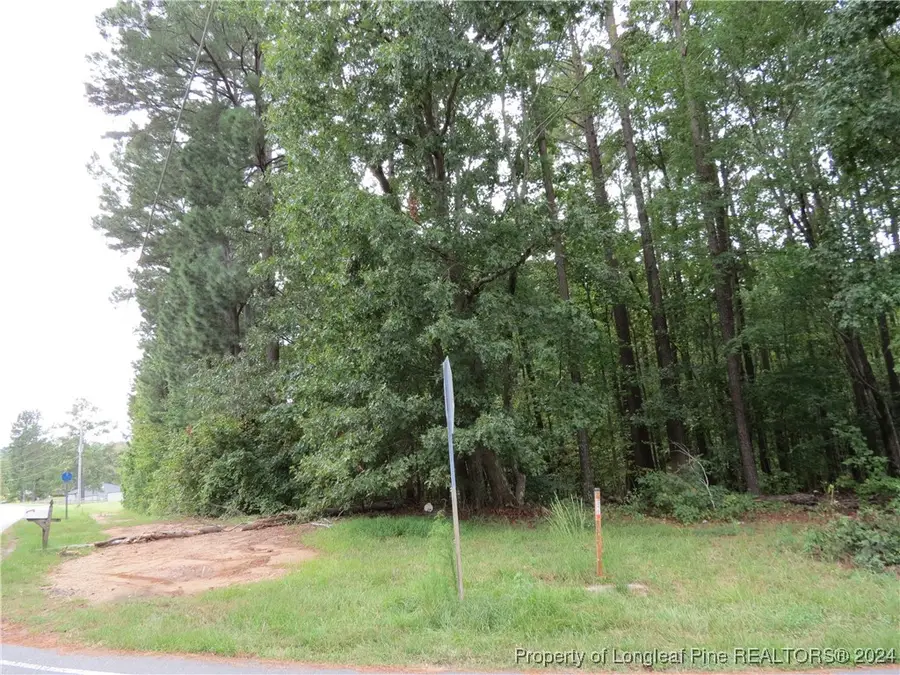 0 Lick Creek Road, Sanford, NC 27330 - Image #2