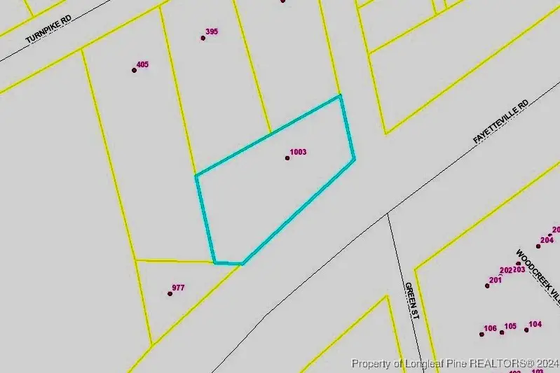 1003 Fayetteville Road, Raeford, NC 28376 - Image #1